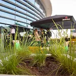 Otel Hyatt Place Amsterdam Airport Hoofddorp