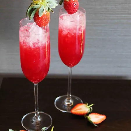 호텔 하얏트 플레이스 암스테르담 에어포트 4*