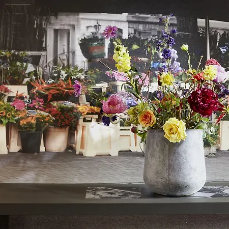 호텔 하얏트 플레이스 암스테르담 에어포트 4*